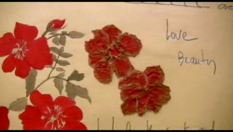 Anita Sieff Video