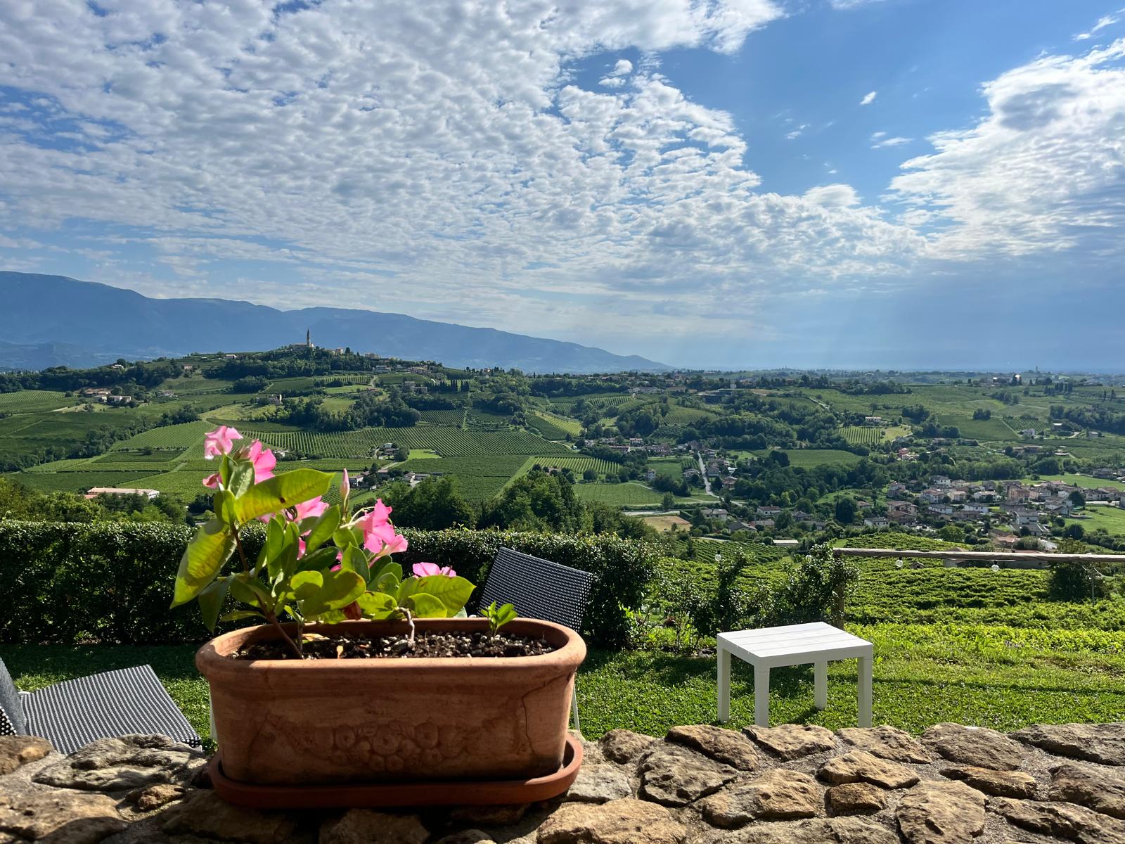 panorama delle Colline
