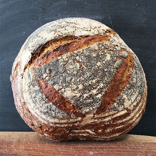 panesemi