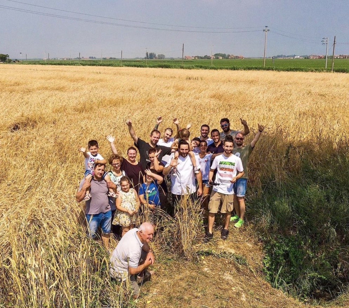 raccolta grano